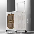 ivory white