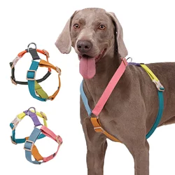 Arnés transpirable ajustable para perros medianos y grandes con correa
