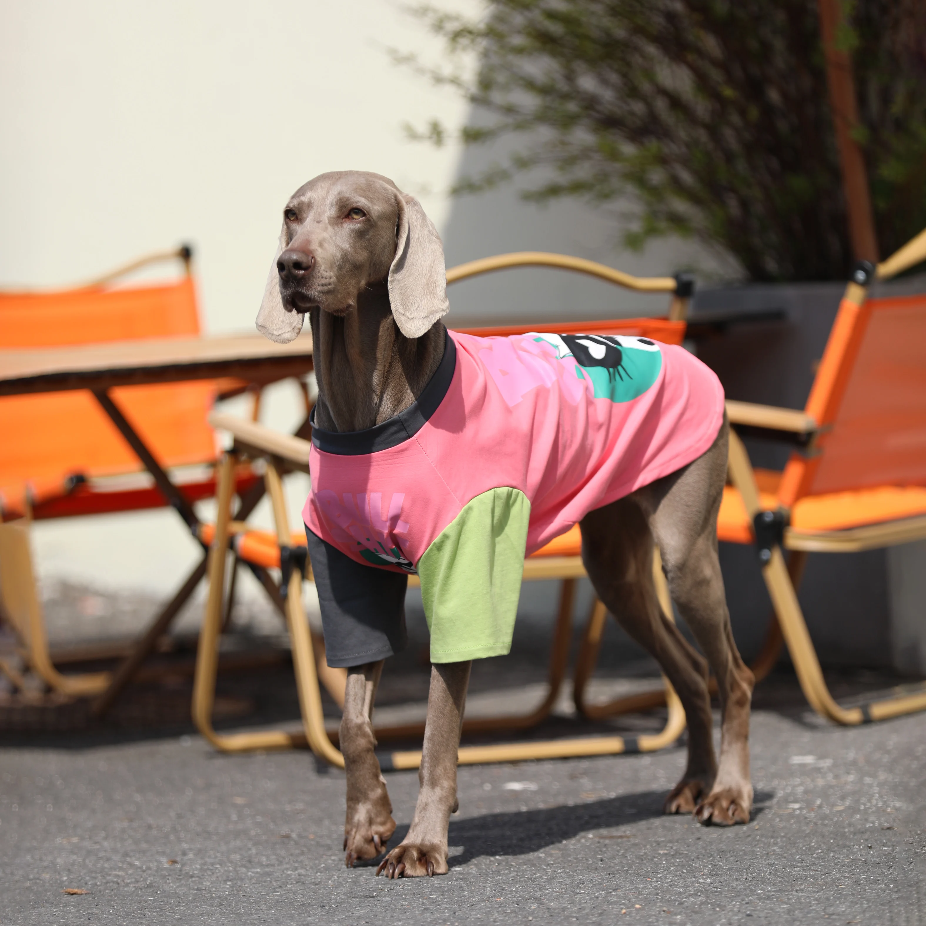 Primavera Verano Patchwork camiseta de perro grande Golden Retriever Labrador trajes moda disfraz de prevención del cabello para perros medianos y grandes