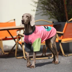 Primavera Verano Patchwork camiseta de perro grande Golden Retriever Labrador trajes moda disfraz de prevención del cabello para perros medianos y grandes