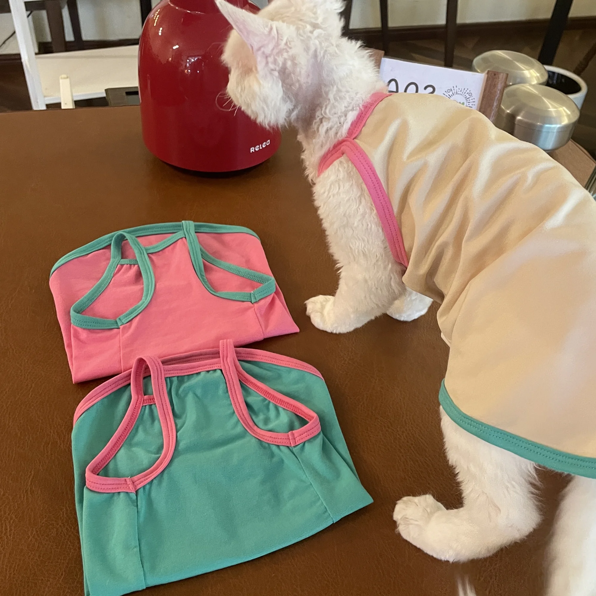 Camisola de algodón colorida en verano, bonito chaleco rosa suave para Devon Rex, abrigo sin mangas para habitación con aire acondicionado para gato Sphynx - imagen 3