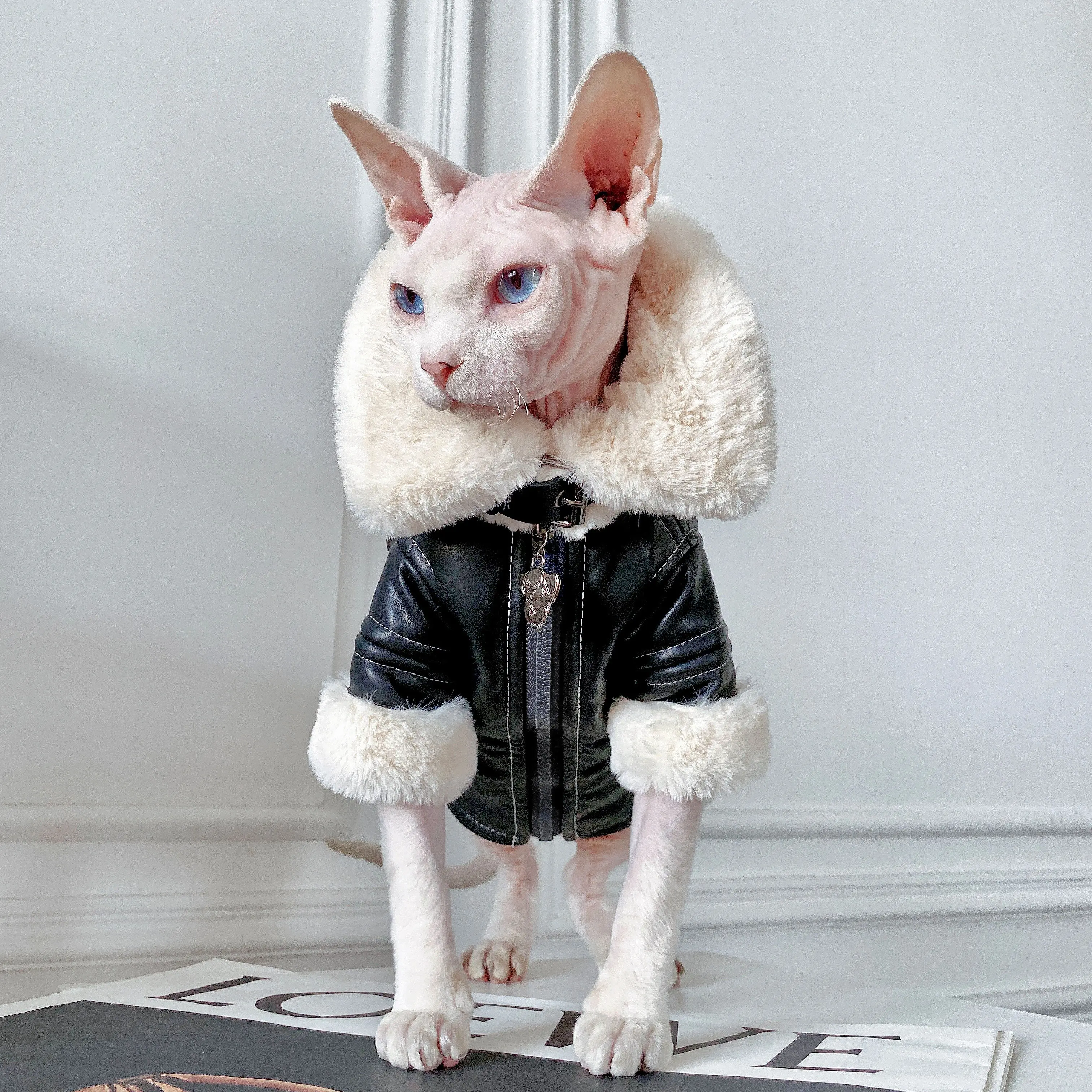 Moda Sphynx gato chaqueta de motociclista de cuero abrigo de piel ropa de gato gatito disfraces cálidos de lujo para Sphinx Devon gato ropa para gato