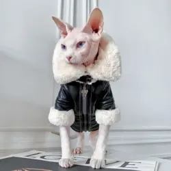 Chaqueta para gatos Sphynx y Devon Rex - abrigo cálido de lujo
