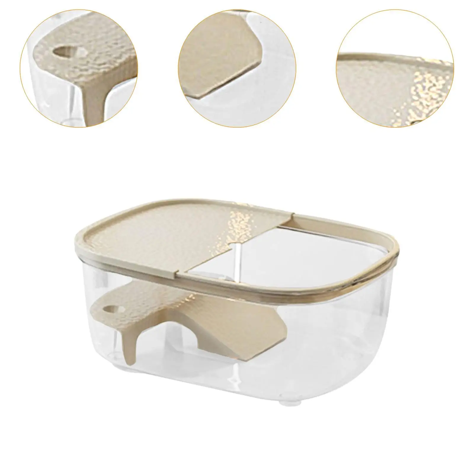 Plataforma para tomar el sol de tortuga, rampa transparente para tortuga, terraza de descanso para Newts, anfibios, animales semiacánicos, salamandras, reptiles pequeños - imagen 5