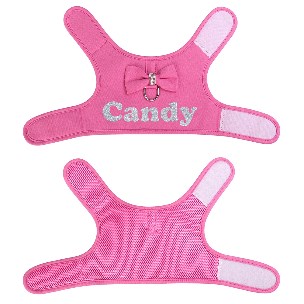 Conjunto de correa de arnés para perro personalizado, arneses de malla transpirables para perro con bonito estampado de lazo, chaleco con nombre de mascota para perros pequeños y medianos Schnauzer - imagen 3