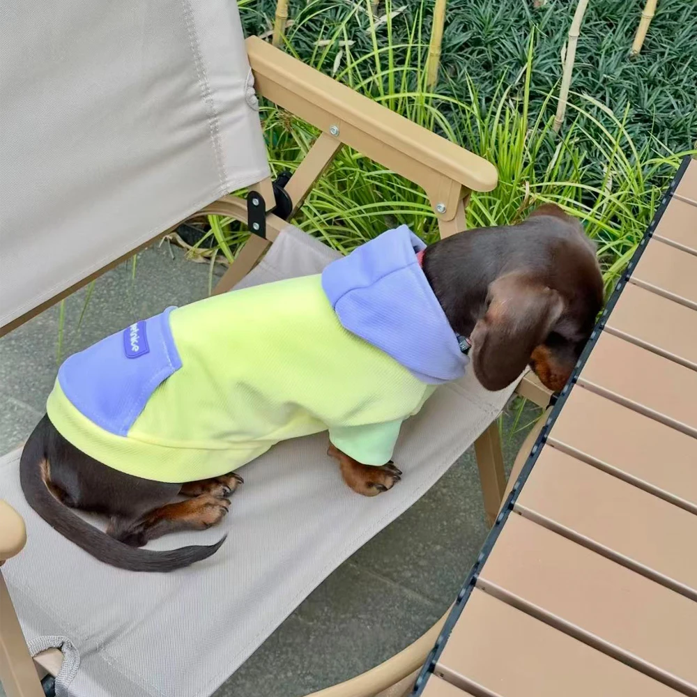 Sudadera para perro salchicha con capucha y letras, algodón primavera - imagen 5