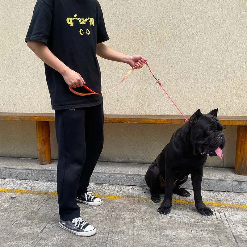 Correa P ultraligera antidesprendimiento para perros, correa de entrenamiento para mascotas antienredos con mango acolchado, correa ajustable para mascotas de doble asa - imagen 4