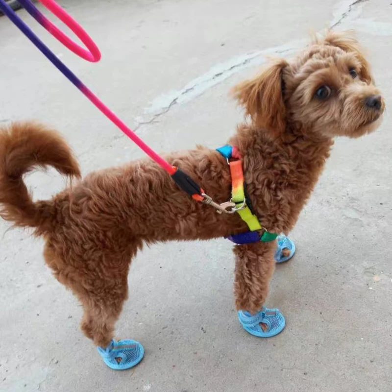 Zapatos de verano para gato y perro, sandalias de malla para mascotas pequeñas, antideslizantes, duraderos, para cachorros, suministros para caminar al aire libre, 4 piezas - imagen 4