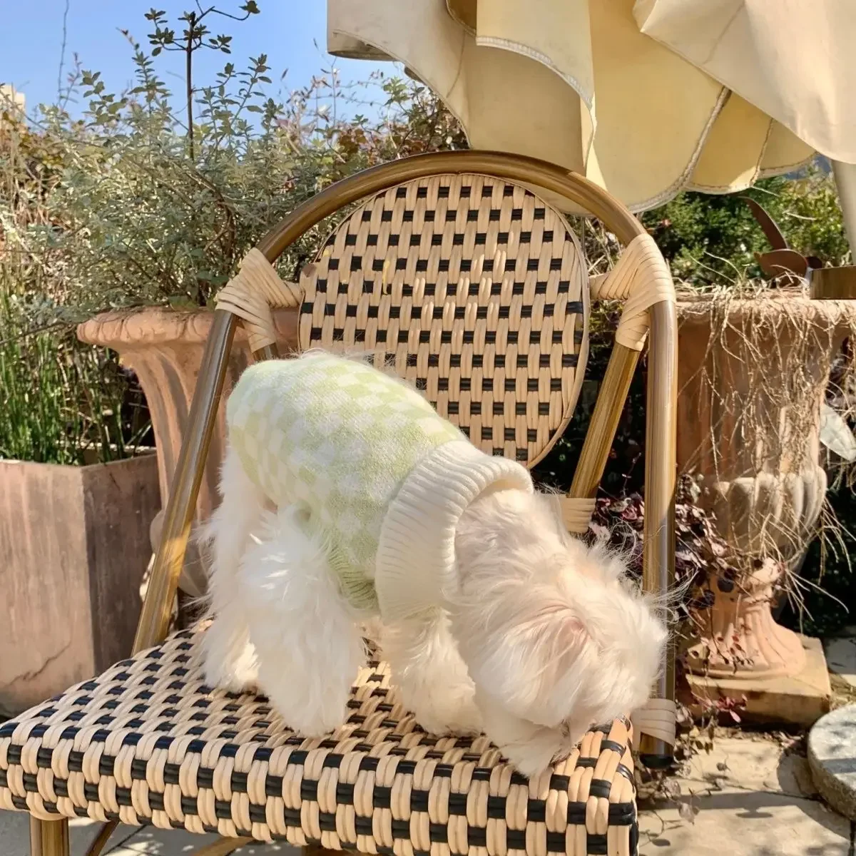 INS-suéter a cuadros para mascotas, suéter de cachemira con solapa para perro y gato, bonito suéter para perro, ropa para cachorro, ropa para perros grandes, artículos para mascotas - imagen 4