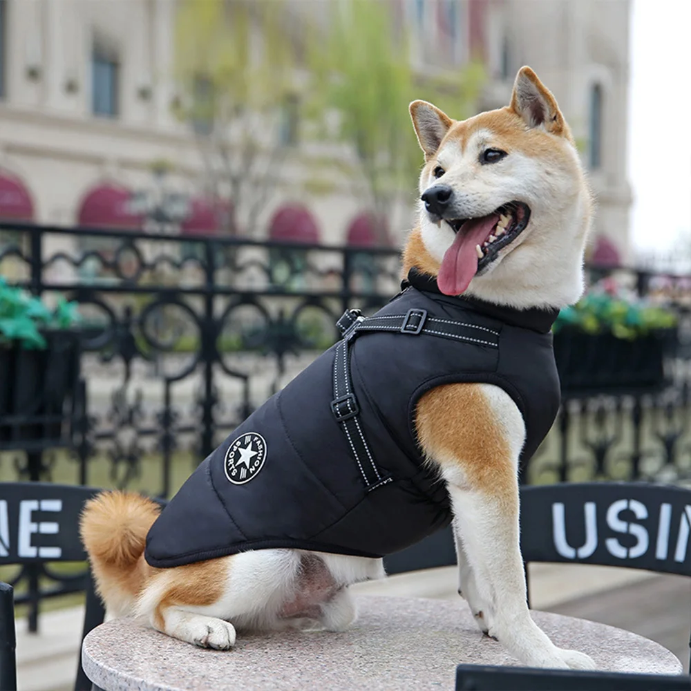 Chaleco impermeable con arnésreflectante para perros – Ropa de invierno - imagen 3