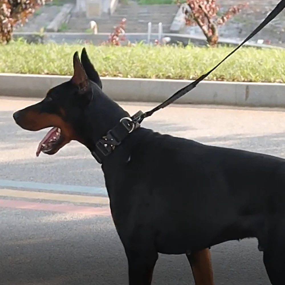 Collares para perros grandes de alta calidad con hebilla de Metal, Collar de mano para mascotas para perros medianos y grandes, accesorios para mascotas pastor alemán - imagen 3