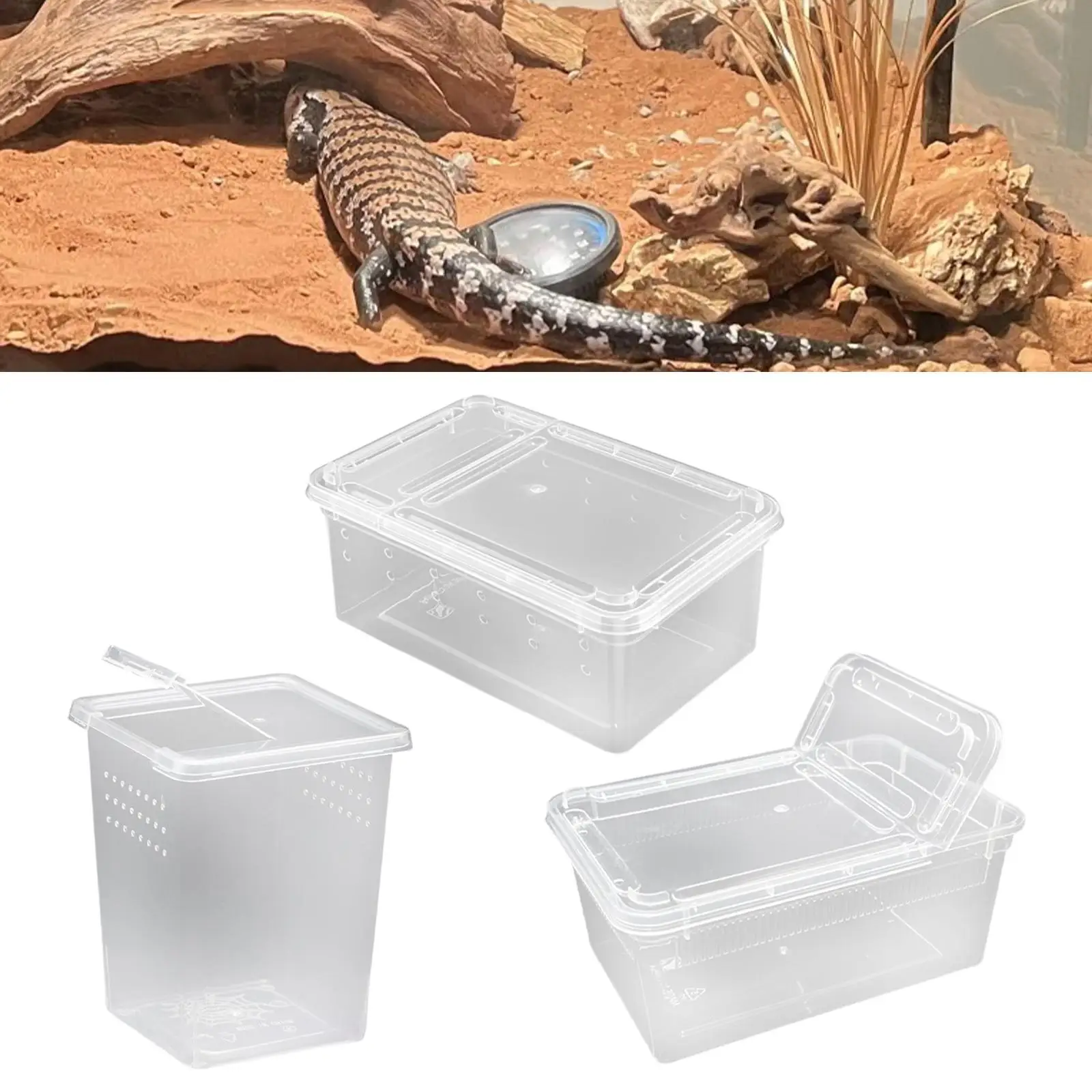 Reptile Feeding Box with Cover Case Breeding Box for Gecko Centipedes Snails