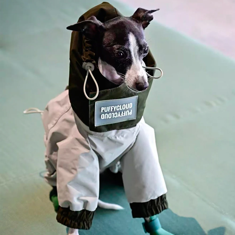 Chaqueta impermeable para perros Italian Greyhound y Bedlington - imagen 5