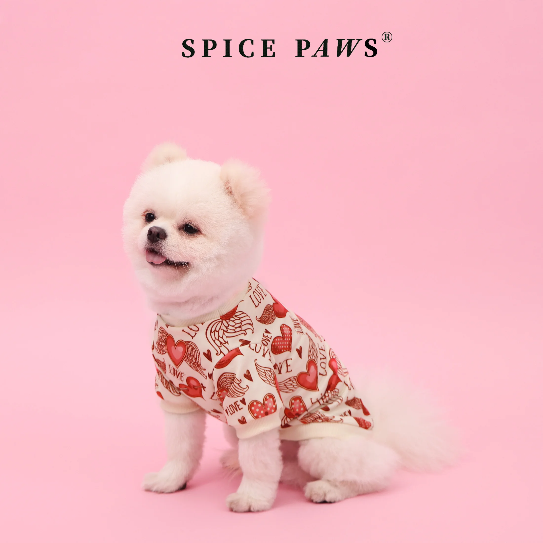 Sudadera con capucha para perros – Diseño corazón alas ángel rojo y crema - imagen 4