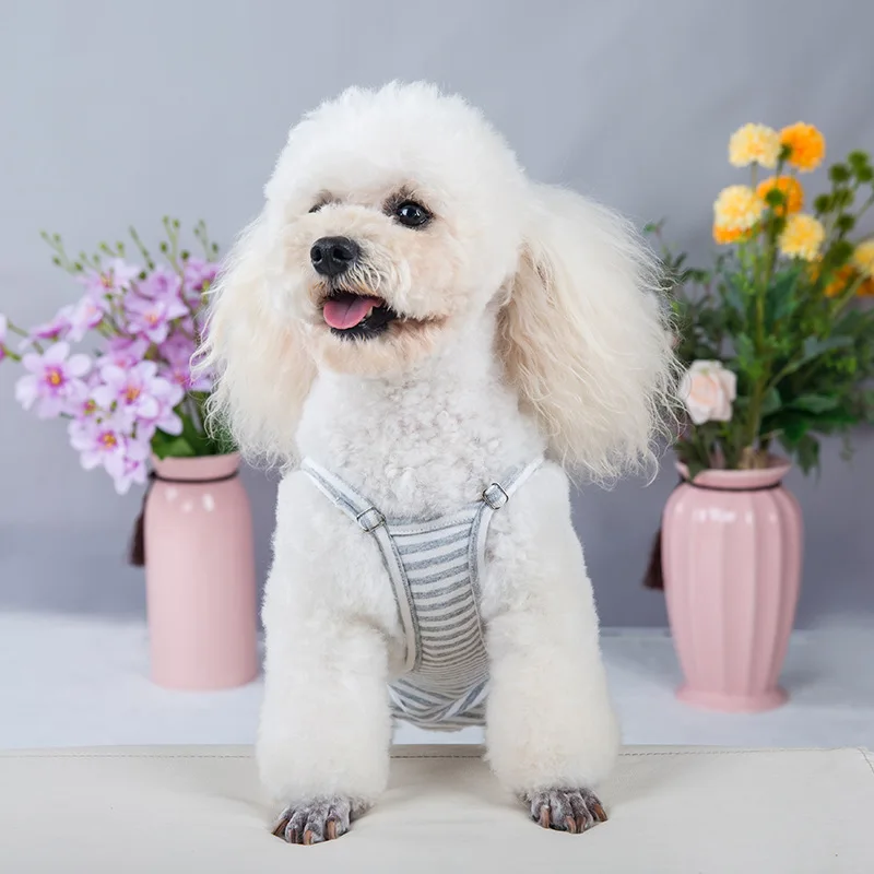 Pantalones cortos ajustables para perros y mujeres, tirantes lavables para mascotas, pantalones fisiológicos, ropa interior a rayas para cachorros, suministros para mascotas para perros pequeños - imagen 3