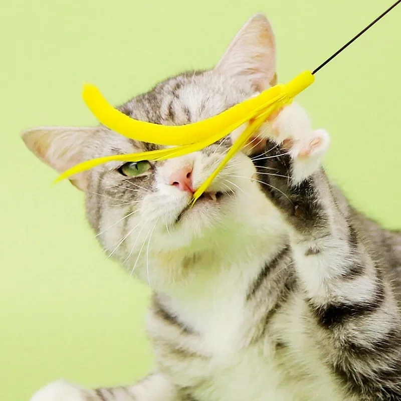 Juguete interactivo de plumas para gatos, palo de cola larga con campana, juguetes de entrenamiento, productos para mascotas - imagen 2