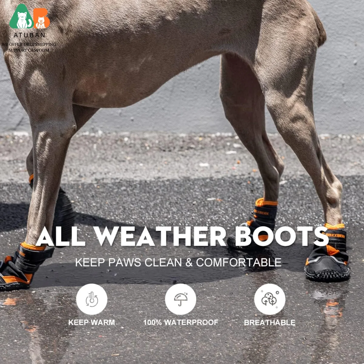 Botines impermeables para perros – Protector de patas para paseo y senderismo - imagen 3
