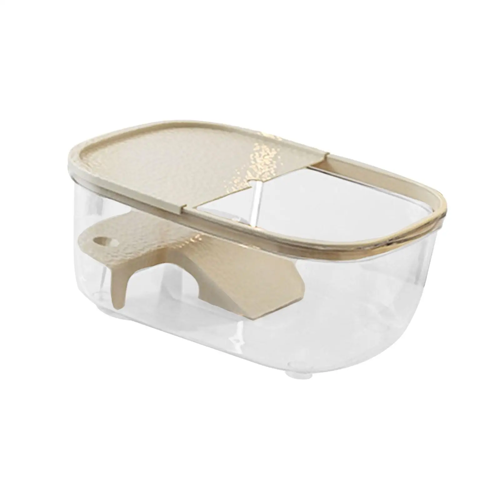 Turtle Basking Platform Clear Tortoise Ramp Resting Terrace for Newts Amphibians Semi Aquatic Animals Salamanders Small Reptiles