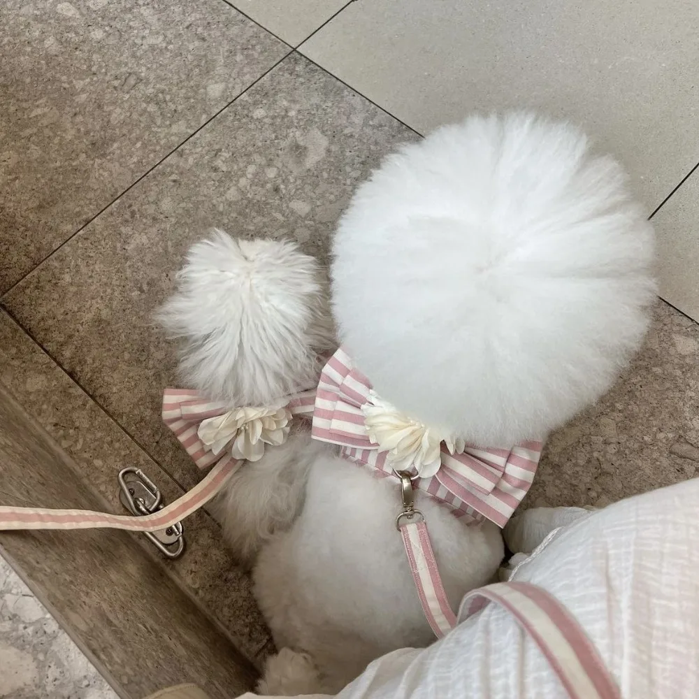 Conjunto de arnés y correa para el pecho y la espalda para perro, cuerda de remolque para salir de peluche, maltés, Yorkshire, flor a rayas, transpirable - imagen 3