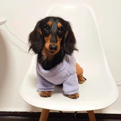 Sudadera morada para perro salchicha – Ropa suave primavera/otoño