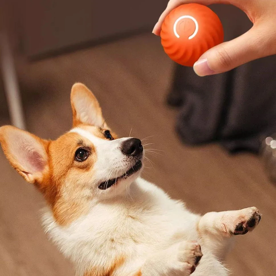 Pelota interactiva para gatos, pelota de juguete eléctrica para gatos con movimiento automático, pelota mágica rodante automática electrónica, juguetes para gatos - imagen 2