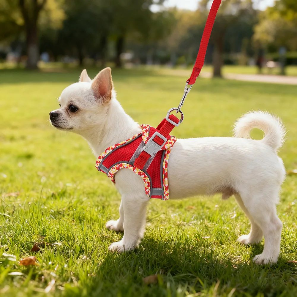 Arnés con correa reflectante transpirable para perros pequeños y gatos - imagen 3