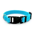 Blue dog collar