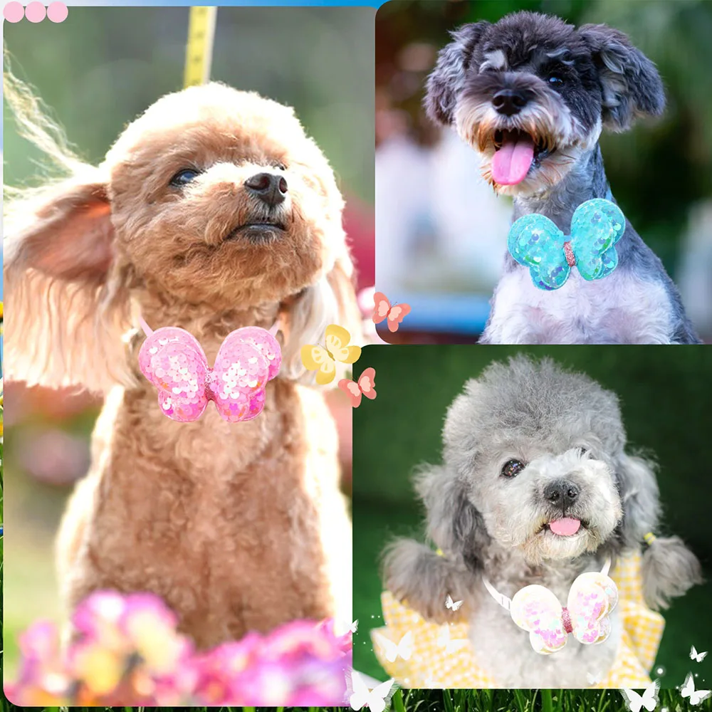 Collares mariposa para perros y gatos pequeños – Lazos y accesorios - imagen 3