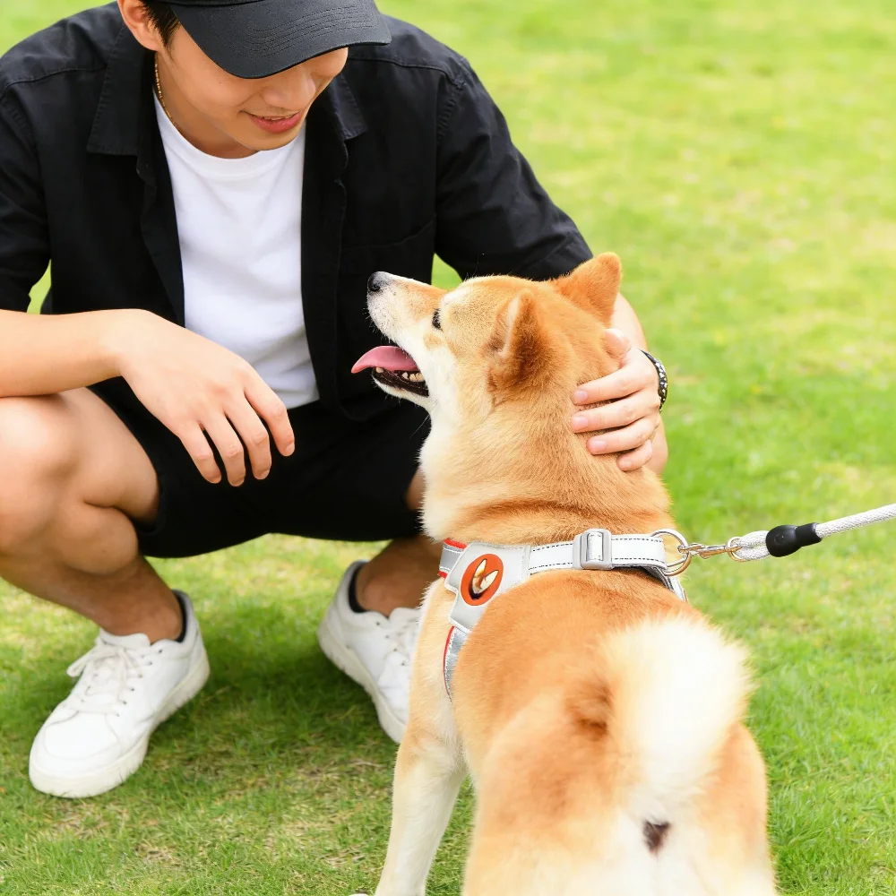 Arnés tipo chaleco transpirable para perro – Ajustable con acolchado y reflectantes - imagen 5