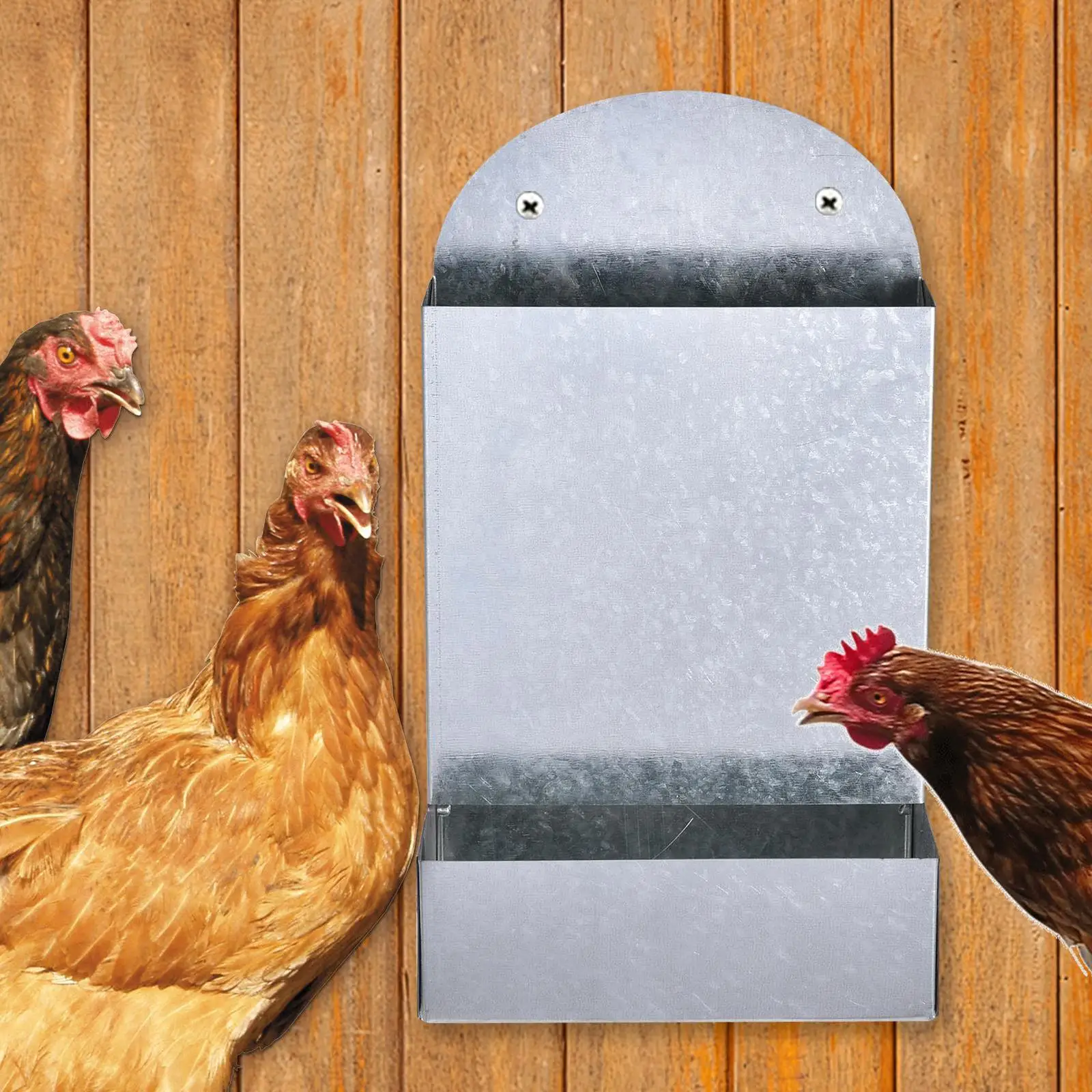 Automatic Chicken Feeder Poultry Feeding Coop Dispenser for Geese Hen Pigeon