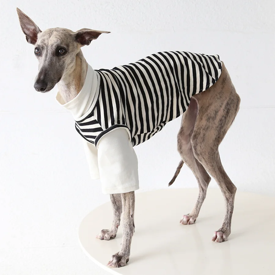 Chaleco térmico galgo y whippet: abrigo ligero cálido para perros - imagen 3
