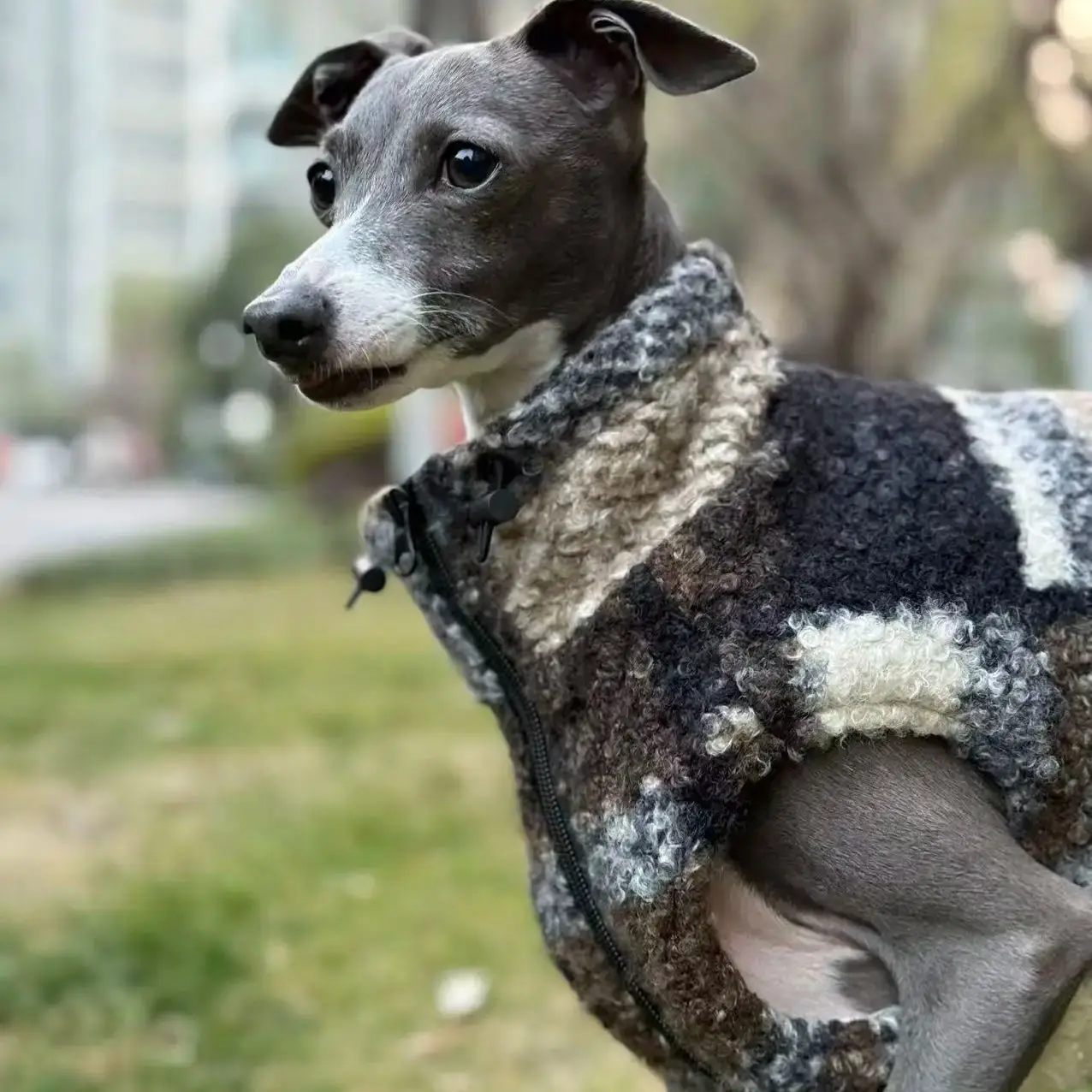 Chaqueta polar de doble cara para galgo italiano y whippet, cálida - imagen 4