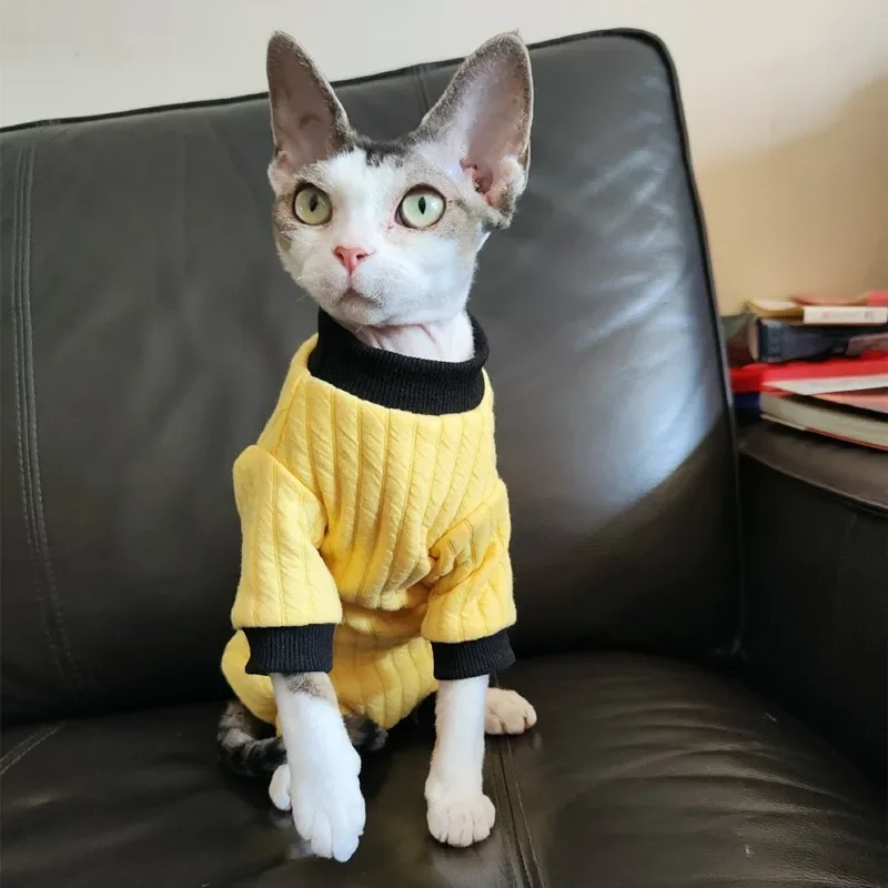 Ropa de cuatro patas Proteger el abdomen para gato sin pelo en primavera Sudadera cálida amarilla para gatitos Abrigo azul claro para esfinge