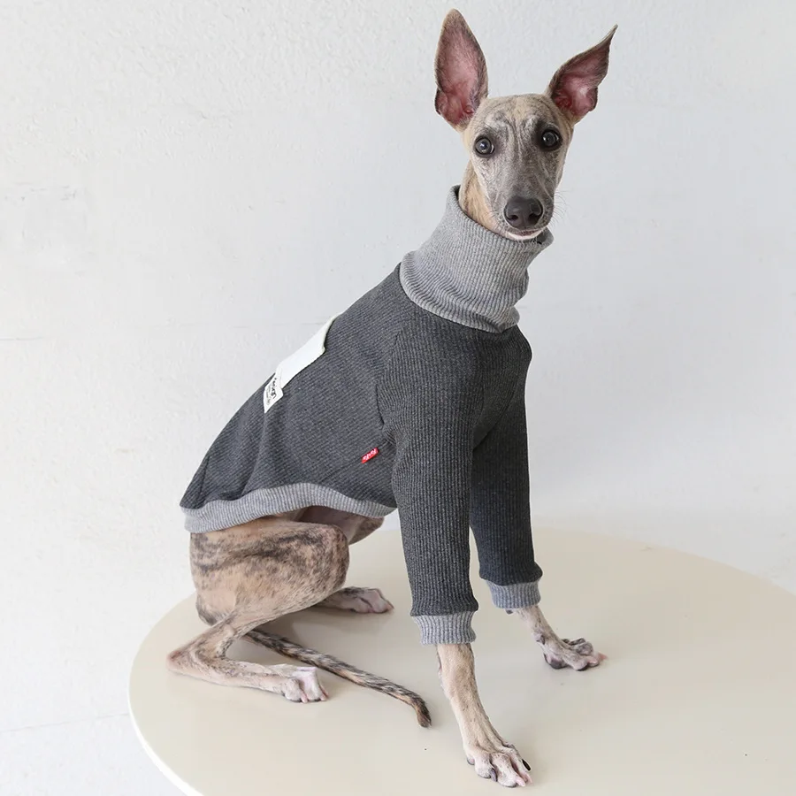 Camiseta de estilo japonés para primavera y otoño, abrigo suave de manga larga para galgo italiano, ropa de descanso para perros Whippet - imagen 2