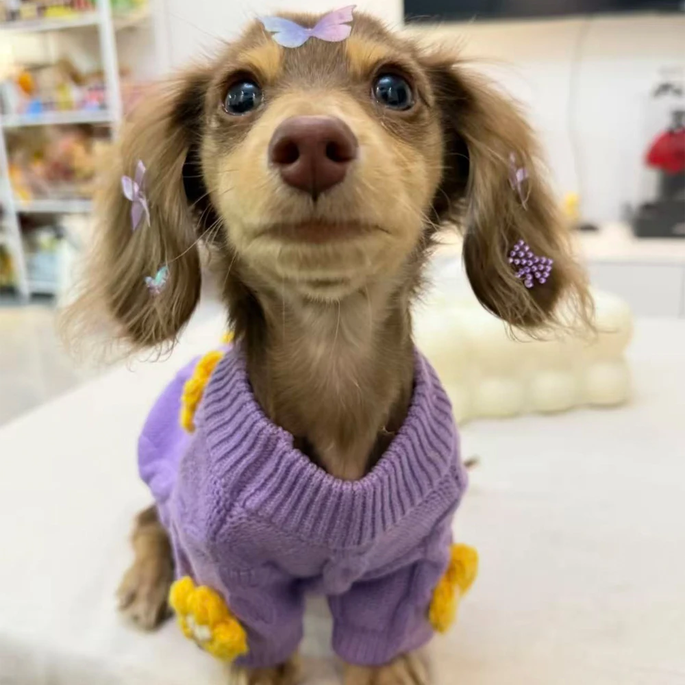 Suéter floral de punto para perro salchicha – Cálido y cómodo - imagen 4
