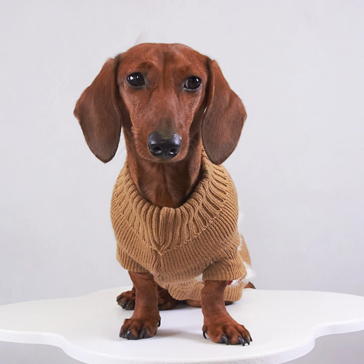 Disfraces navideños Abrigo de punto para perros salchicha Sudadera de Papá Noel para perros tejón Suéter verde para perros Wiener - imagen 3