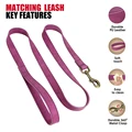 Purple Leash