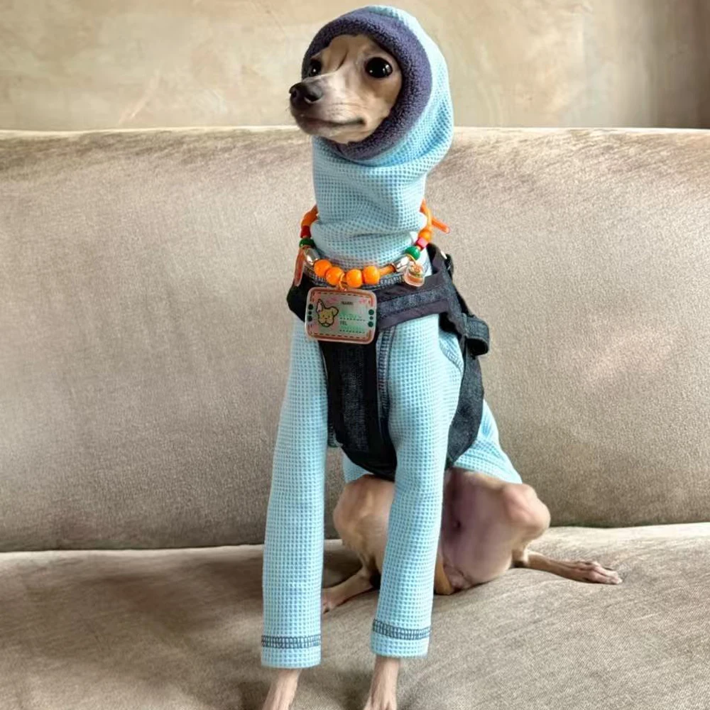 Sudadera de algodón azul hecha a mano para perros Whippet en otoño Abrigo cálido para la cabeza con cuello alto de 2 patas para galgo italiano en primavera - imagen 2