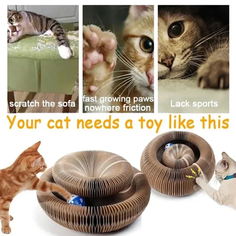 Tablero rascador plegable para gatos, órgano mágico, juguete con bola, garra de molienda para gatos, marco de escalada para gatos, juguetes interactivos corrugados redondos - imagen 3
