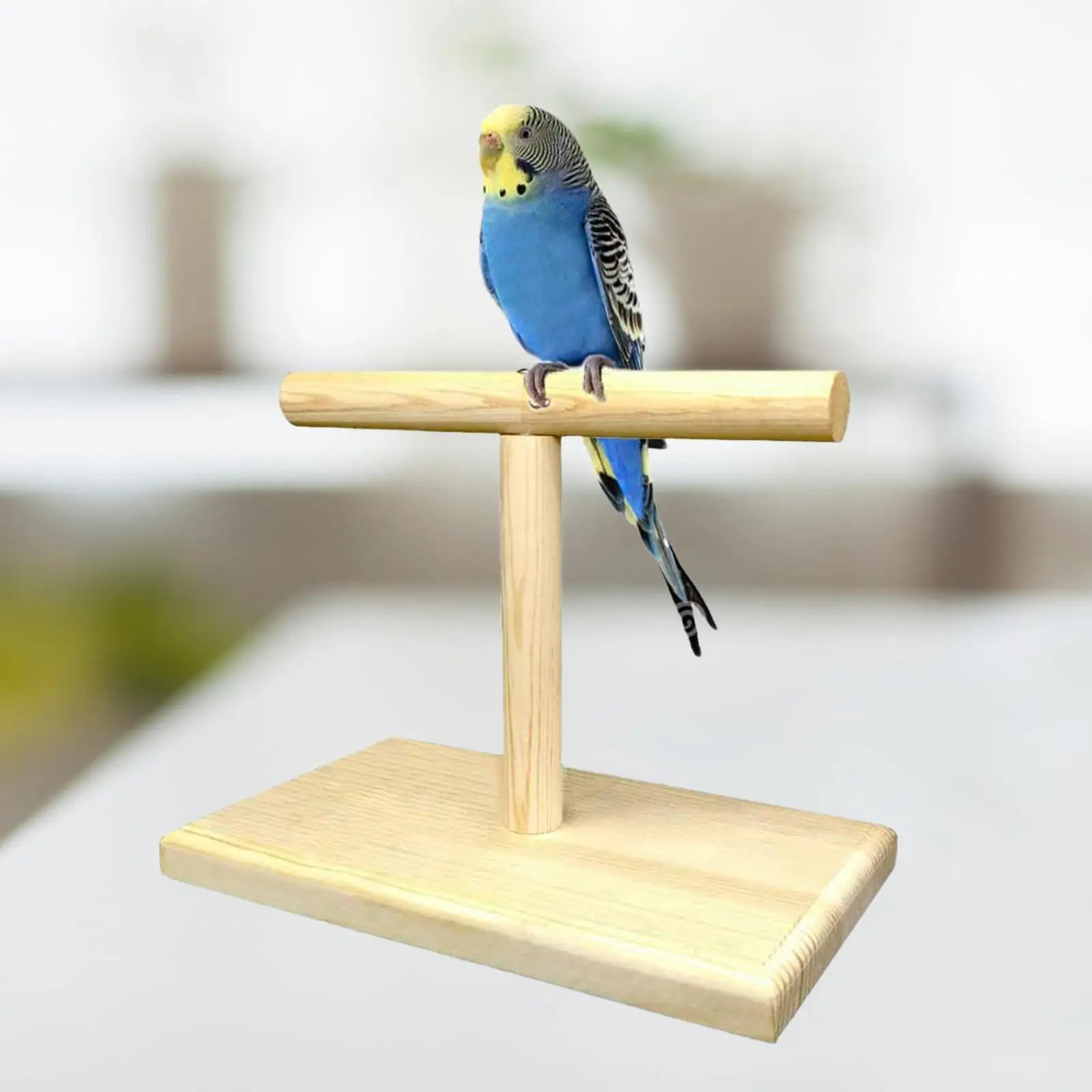 Bird Training Stand Stable Bird Perch Stand for Parakeets Parrots Lovebirds