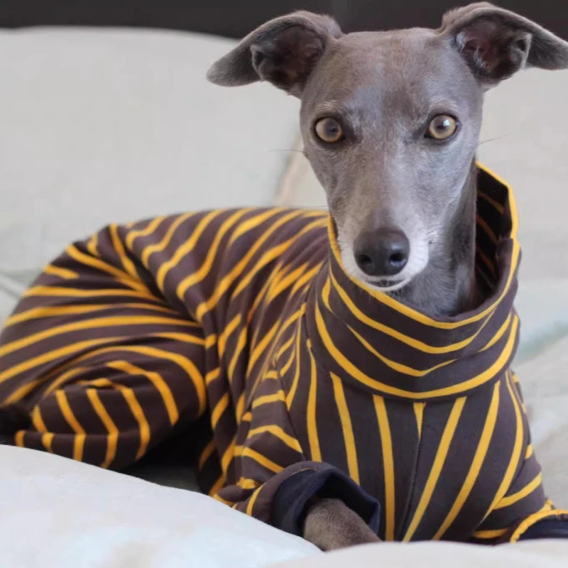 Ropa para perros de compañía, ropa para perros grandes de otoño, disfraces de lujo para perros de Halloween, ropa de dormir, monos, accesorios, suministros de productos - imagen 2