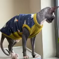 Blue-Yellow