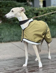 Chaqueta impermeable de lujo para perros: Whippet, Galgo italiano