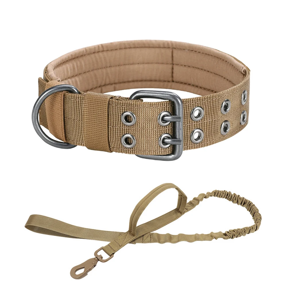BW collar leash