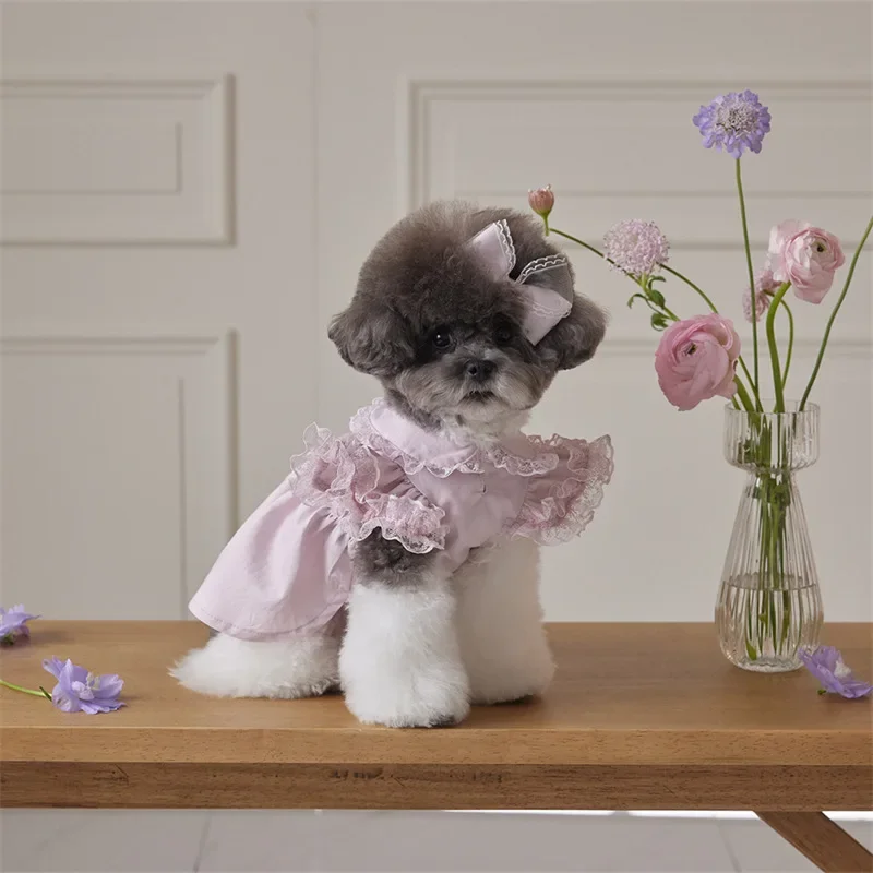 Vestido de encaje de princesa para mascotas, ropa de moda para perros y gatos, camisa con mangas voladoras, oso de peluche, ropa para perros pequeños, ropa para cachorros - imagen 4