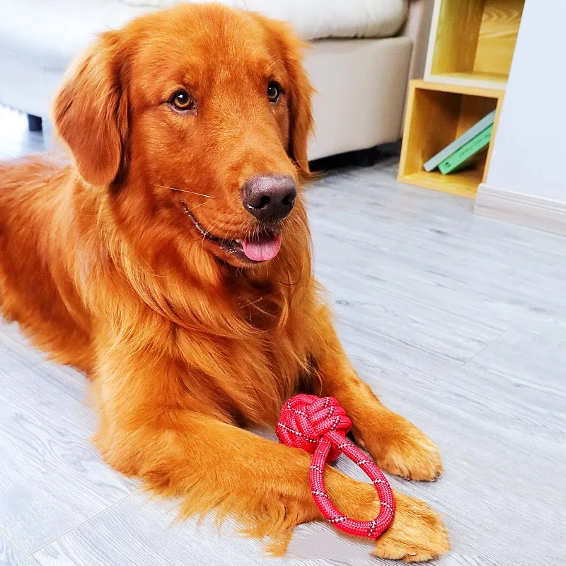 Juguete para perros, cuerdas de algodón, nudo tejido, juguete para perros, cuerda con nudo resistente a mordeduras, juguetes para moler dientes de perro, juguetes a prueba de masticar para entrenamiento de cachorros - imagen 2