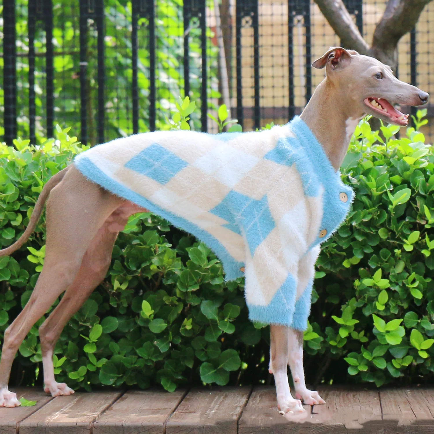 Suéter cálido azul-blanco para galgo italiano Whippet, abrigo polar de manga larga de invierno con botones para perros, chaqueta gruesa para mascotas - imagen 3