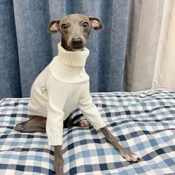 Jersey de punto blanco para Whippet – Ropa cálida para galgo italiano