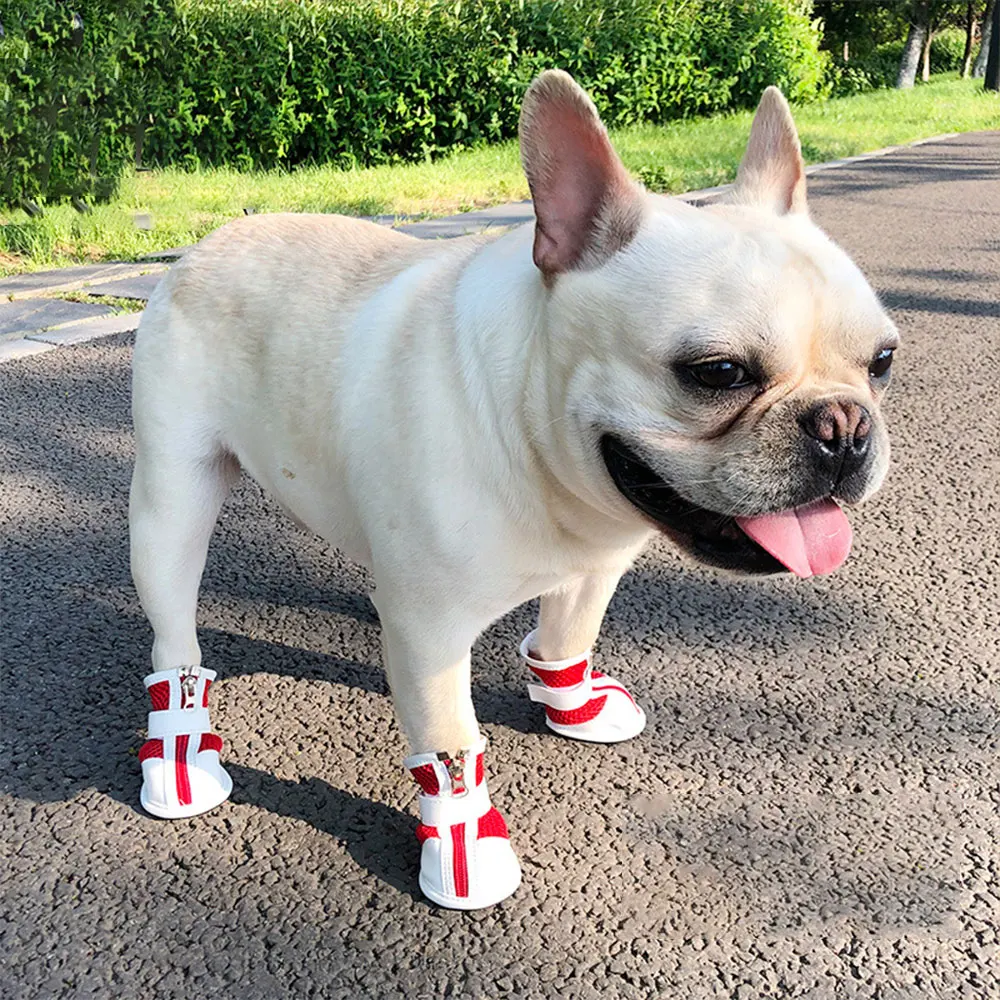 4 unids/set de zapatos para perros, zapatos informales antideslizantes para perros pequeños, Chihuahua, Bulldog, lindos zapatos para mascotas, zapatillas de deporte de malla suave transpirables para primavera y verano - imagen 2