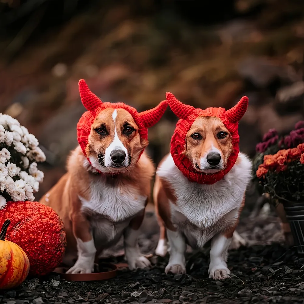 Disfraz de perro diablo rojo, redecilla de ganchillo cálida para mascota, gorro de punto con cuernos divertidos para perro, protección para cubrir las orejas y el cuello, Halloween y invierno - imagen 5